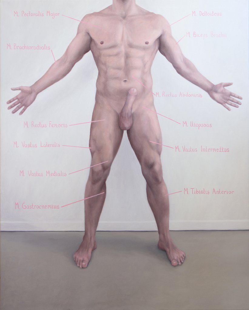 Anatomical Study